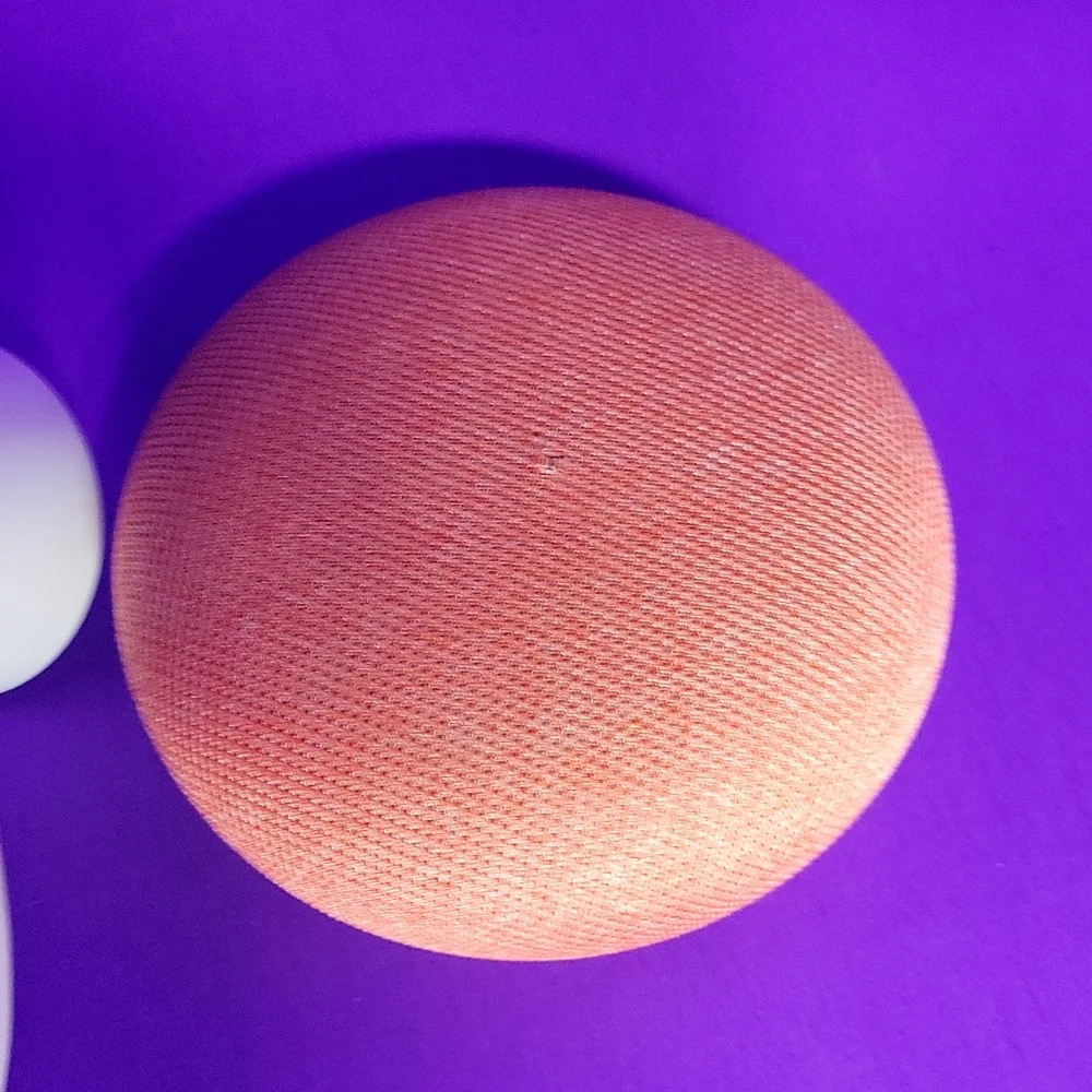 Google Home Mini 'Coral!